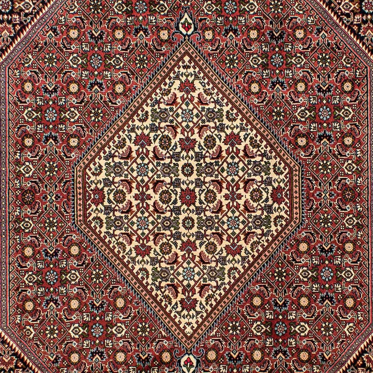 Persisk tæppe - Bijar - 291 x 196 cm - lysrød