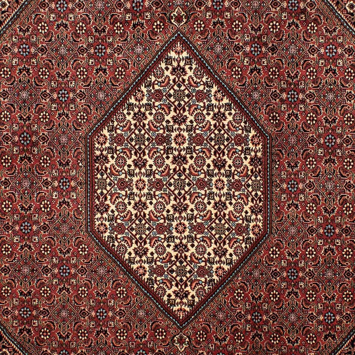 Persisk tæppe - Bijar - 298 x 206 cm - brun