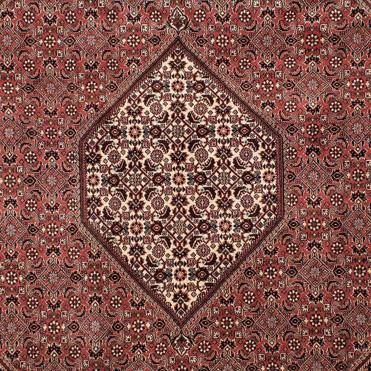 Persisk tæppe - Bijar - 308 x 204 cm - brun