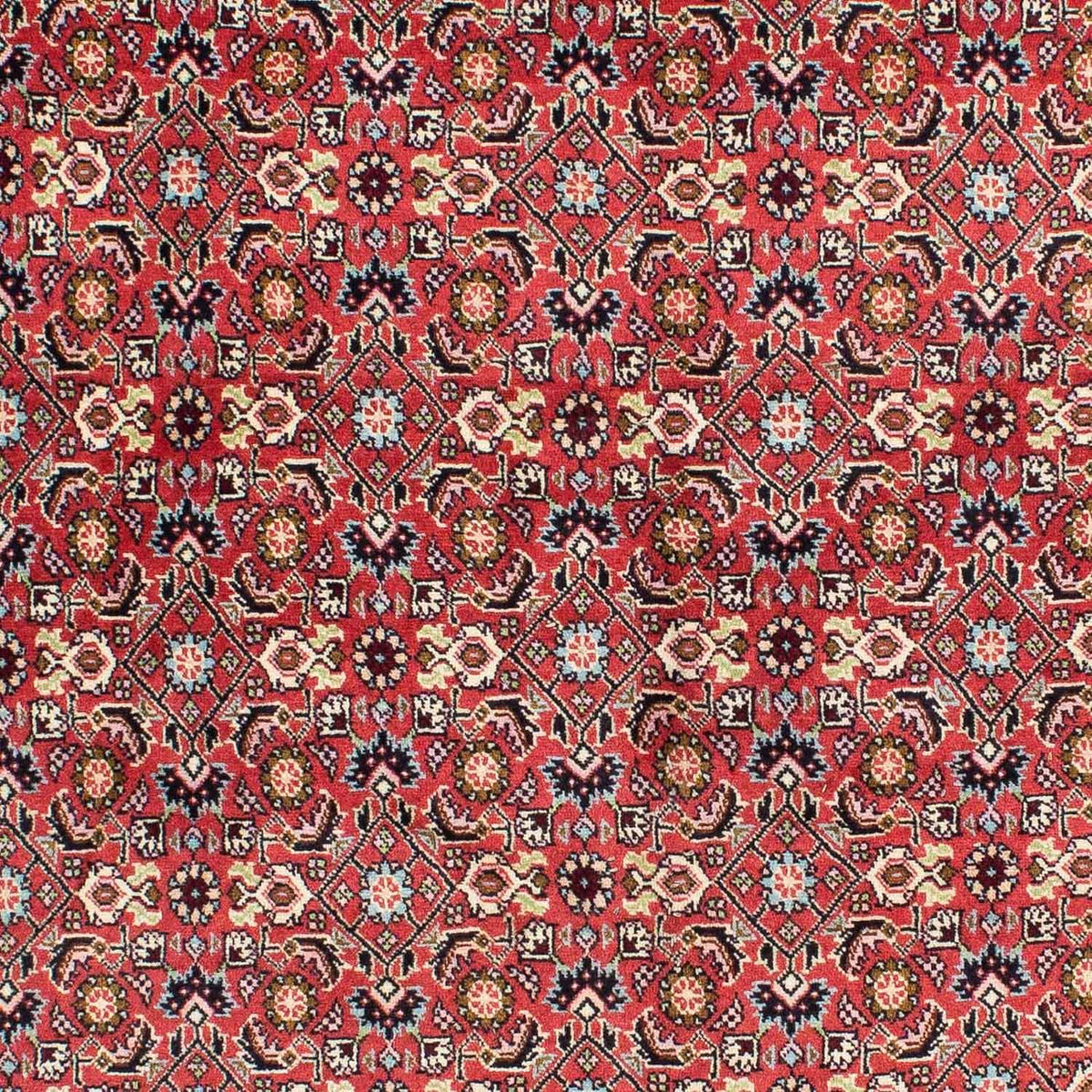 Persisk tæppe - Bijar - 233 x 138 cm - rød