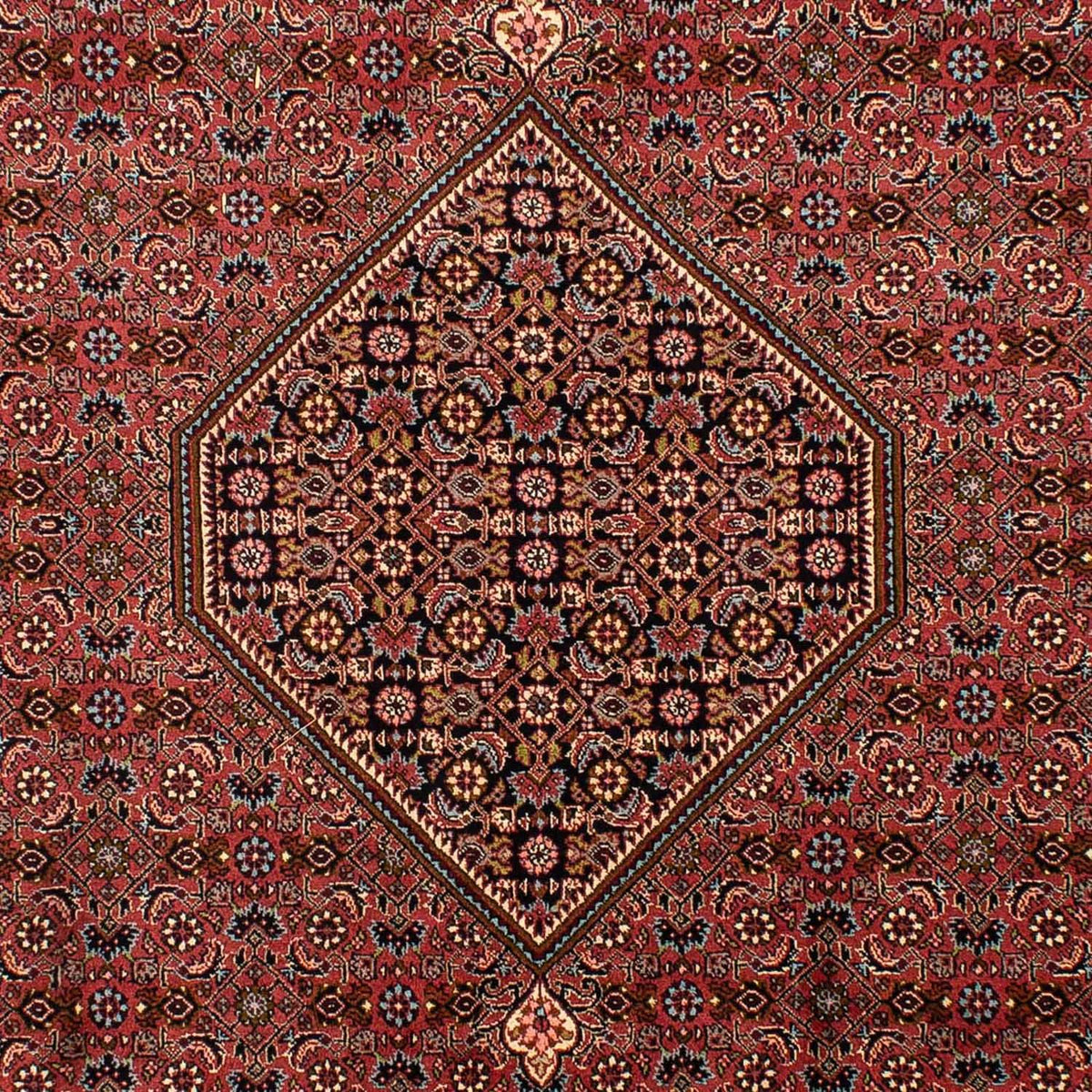 Persisk tæppe - Bijar - 321 x 197 cm - brun