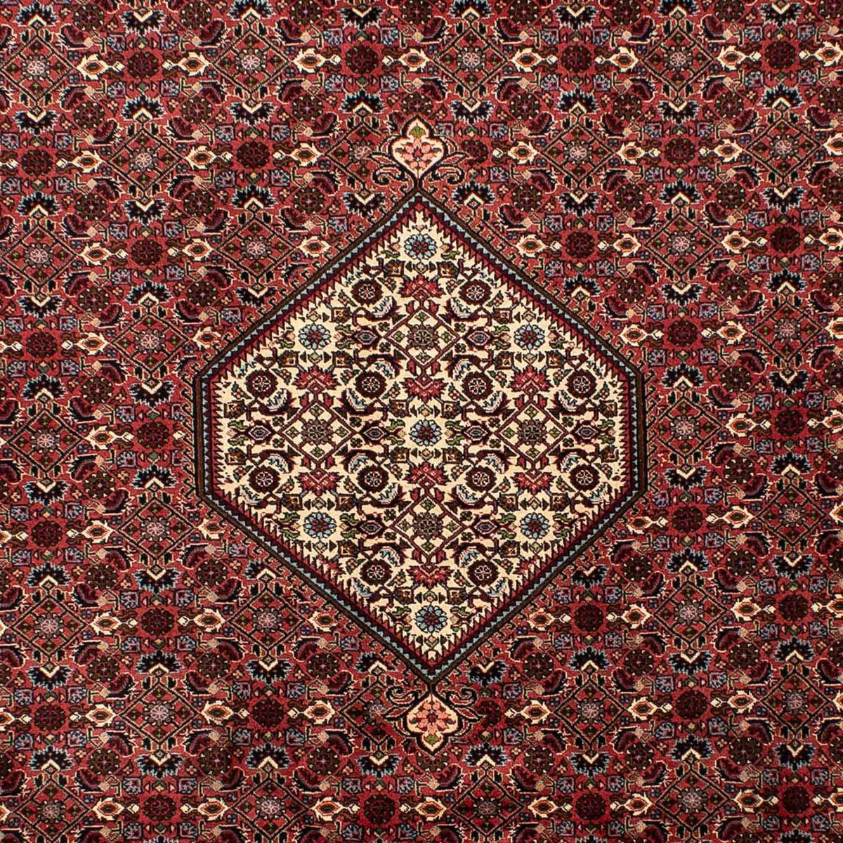 Persisk tæppe - Bijar - 290 x 203 cm - brun