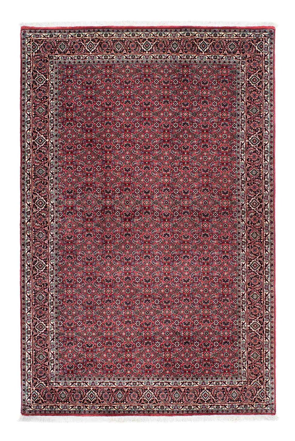 Persisk tæppe - Bijar - 200 x 133 cm - lysrød