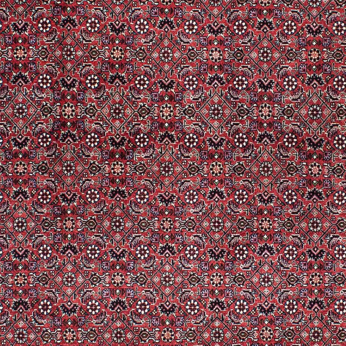 Persisk tæppe - Bijar - 200 x 133 cm - lysrød