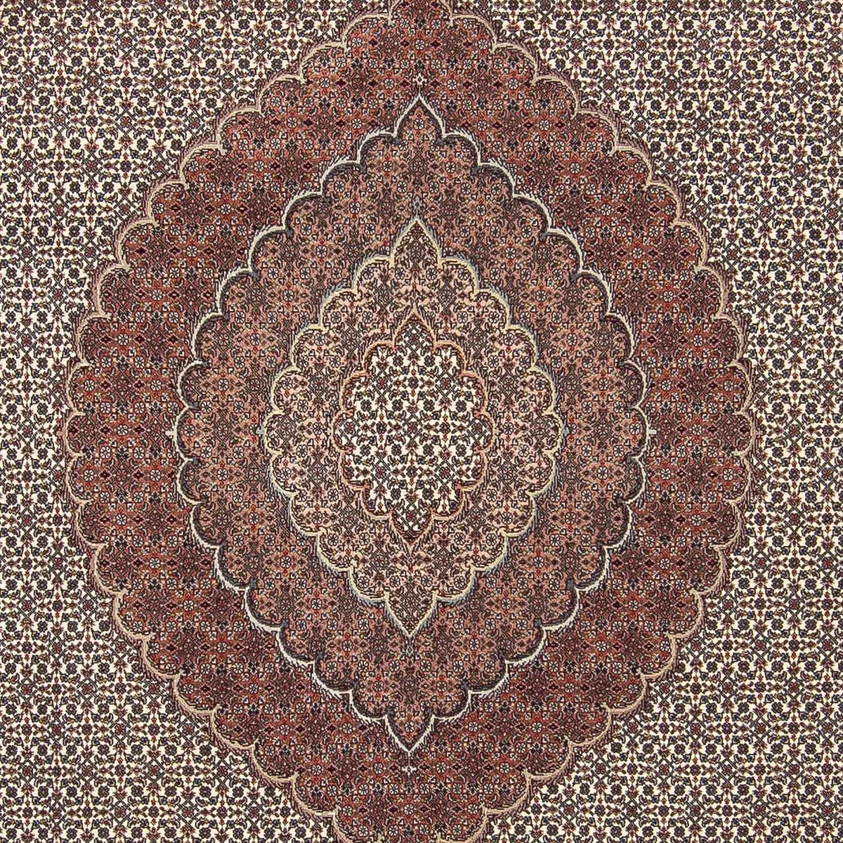 Persisk tæppe - Tabriz - 300 x 250 cm - flerfarvet