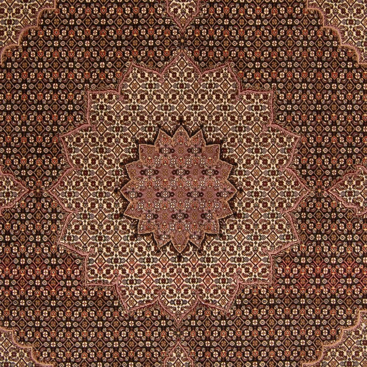 Persisk tæppe - Tabriz - Royal - 256 x 248 cm - brun