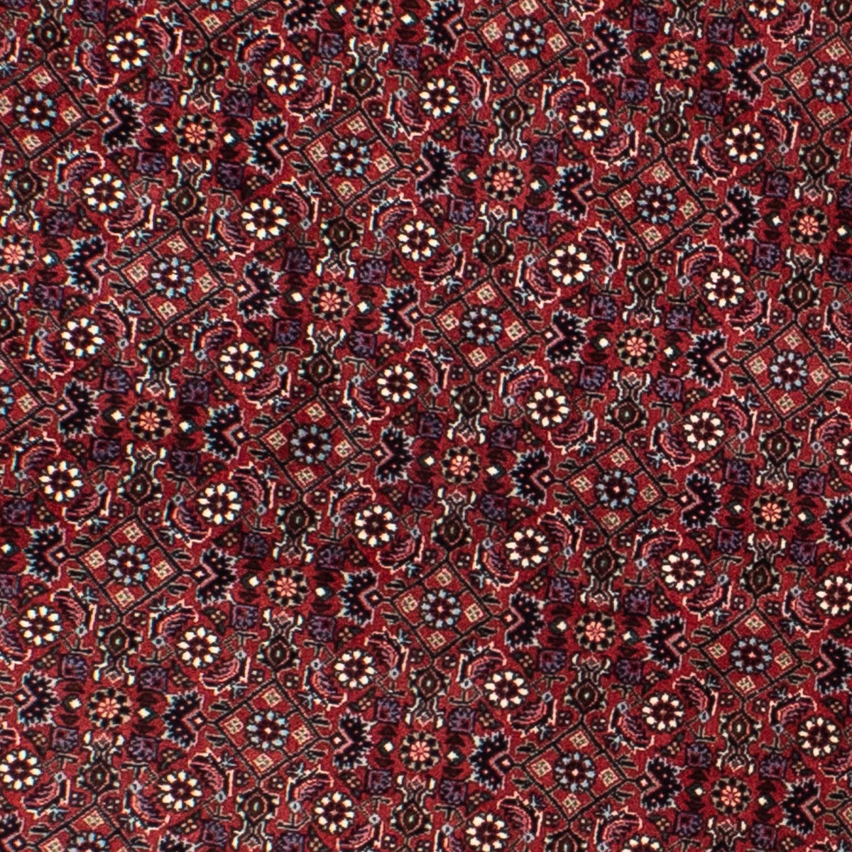 Persisk tæppe - Bijar rundt  - 160 x 160 cm - mørkerød