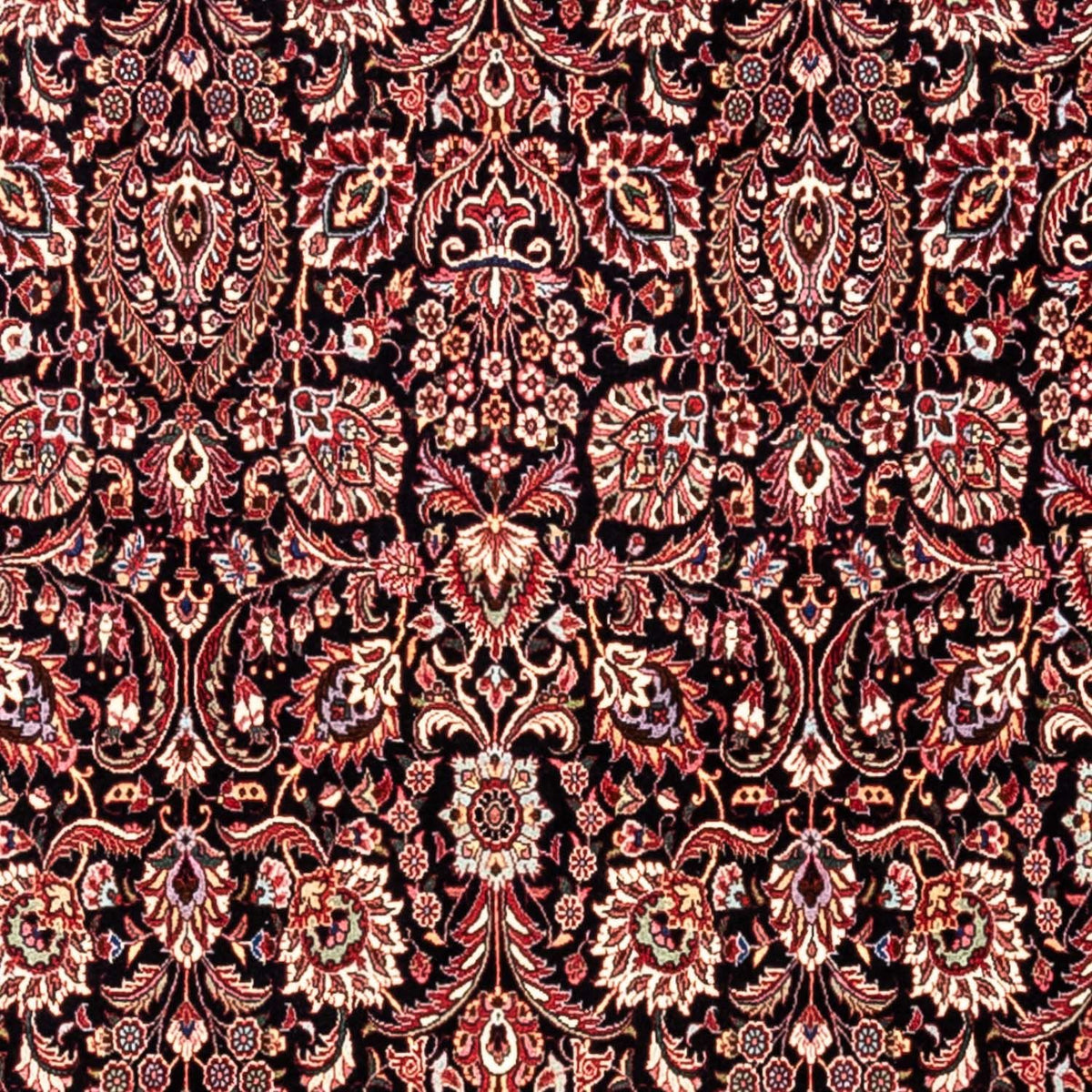 Persisk tæppe - Bijar - Royal - 342 x 250 cm - sort