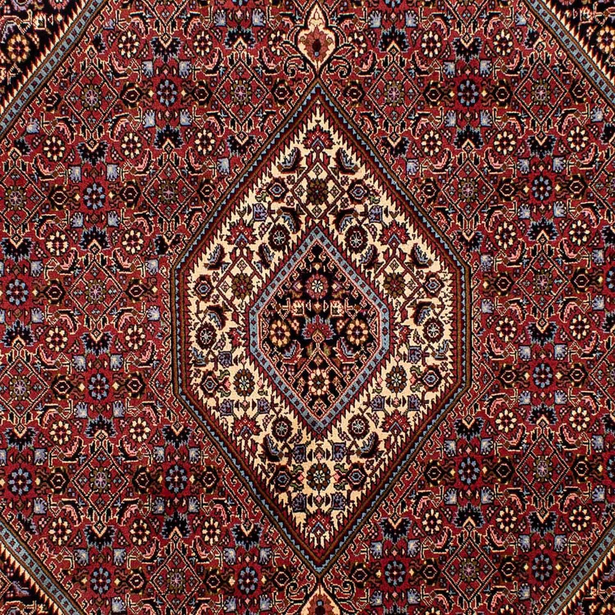 Persisk tæppe - Bijar - 275 x 203 cm - brun