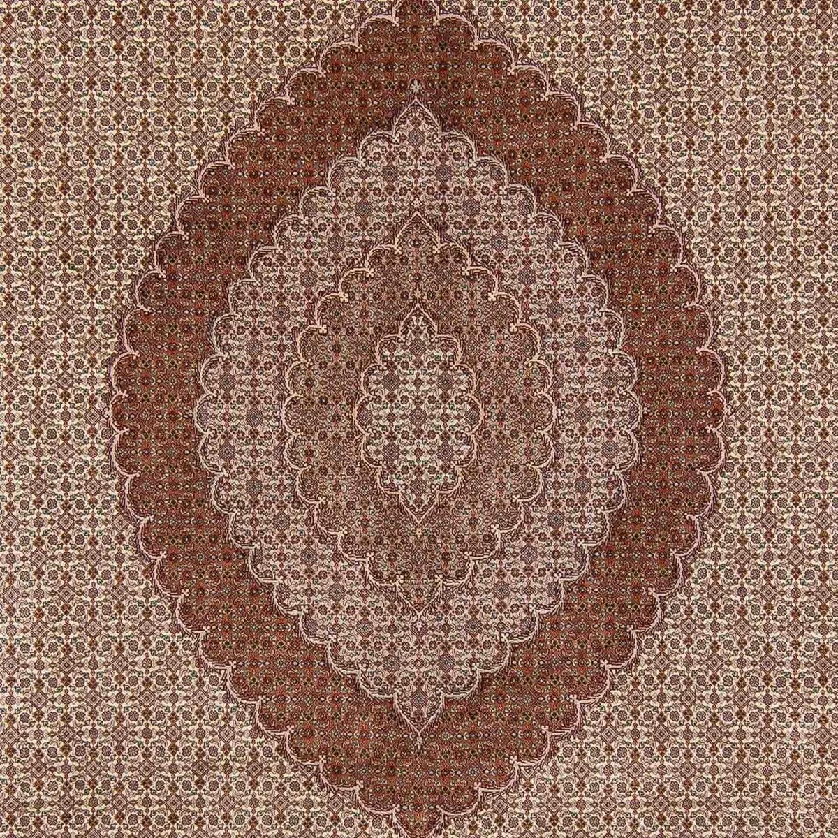 Persisk tæppe - Tabriz - 350 x 254 cm - brun