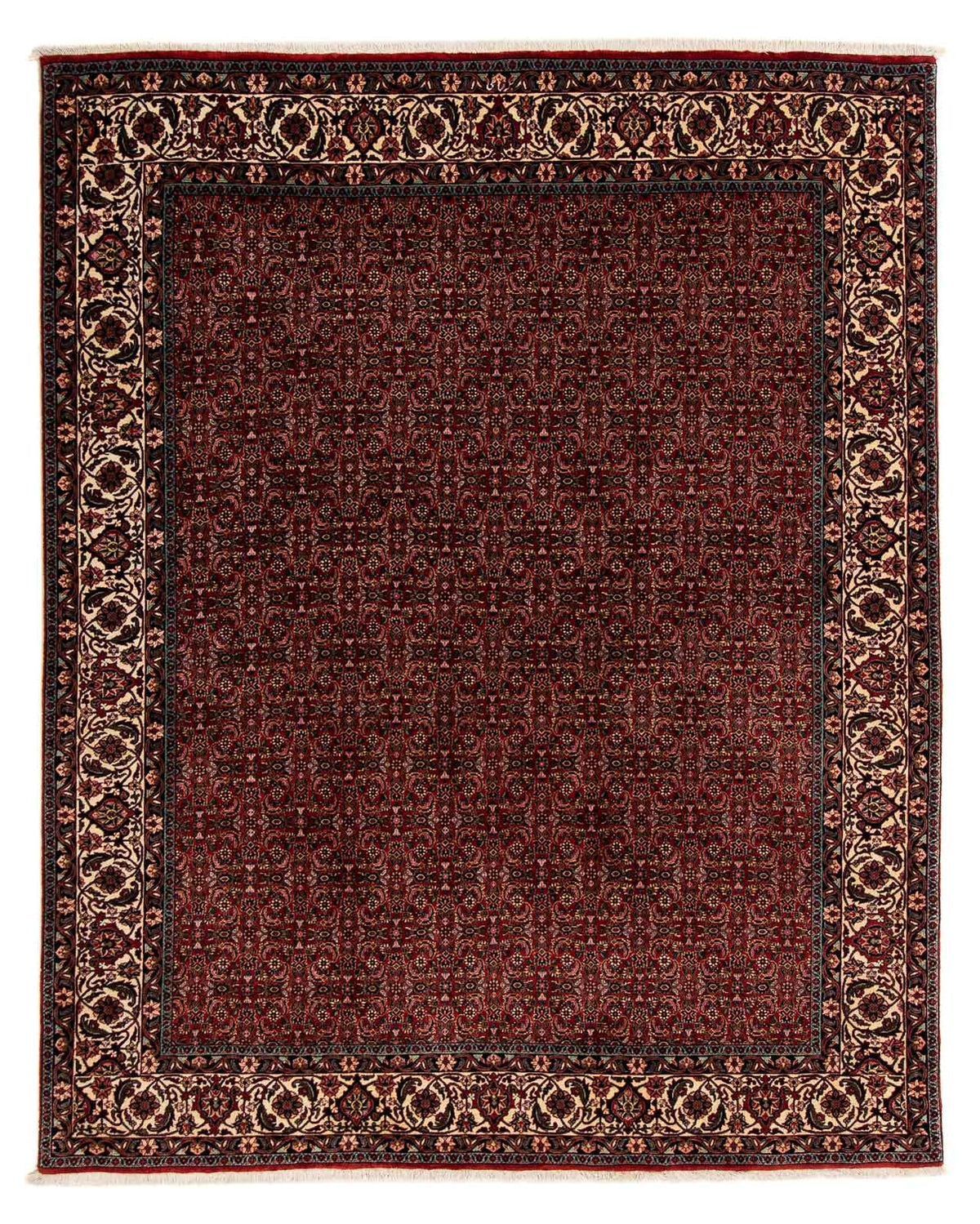 Persisk tæppe - Bijar - 249 x 202 cm - mørkerød