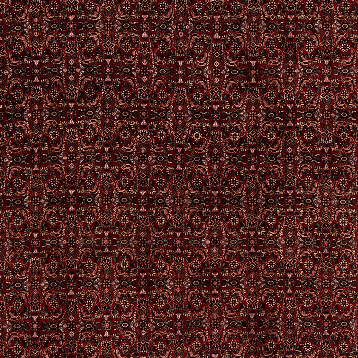 Persisk tæppe - Bijar - 249 x 202 cm - mørkerød