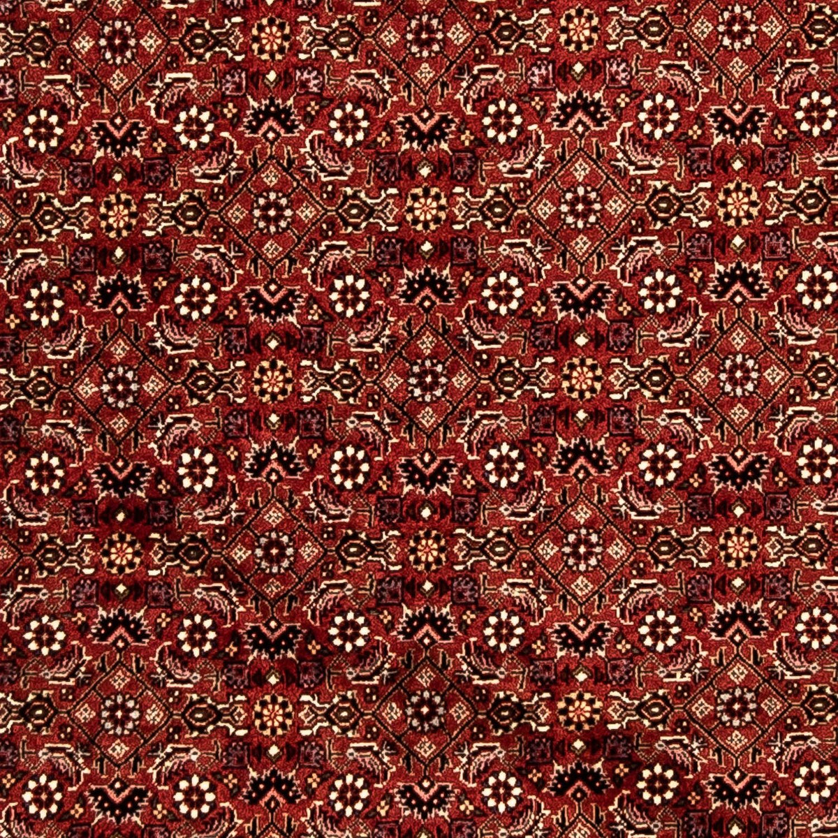 Løber Persisk tæppe - Bijar - 288 x 85 cm - flerfarvet
