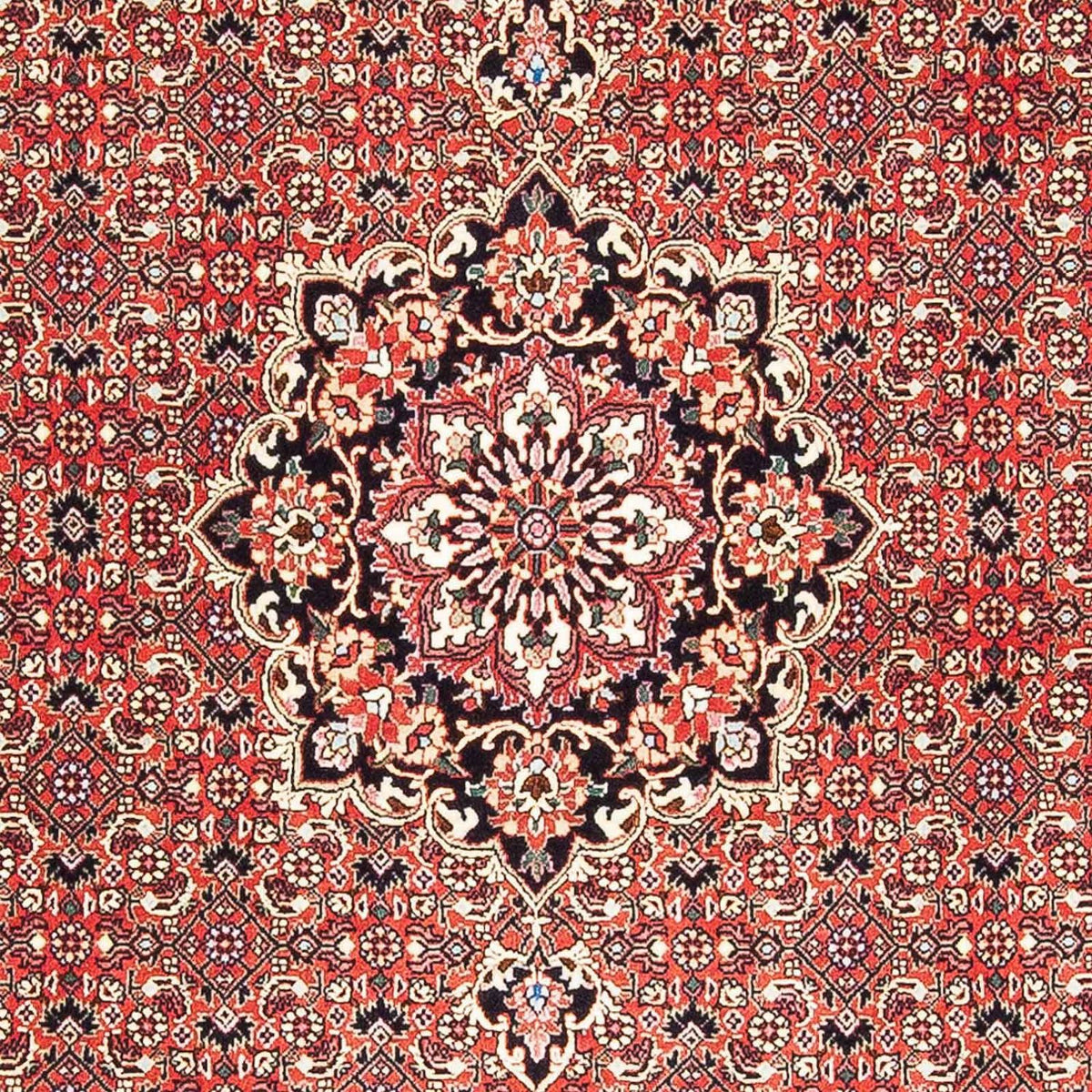 Persisk tæppe - Bijar - 182 x 110 cm - rød