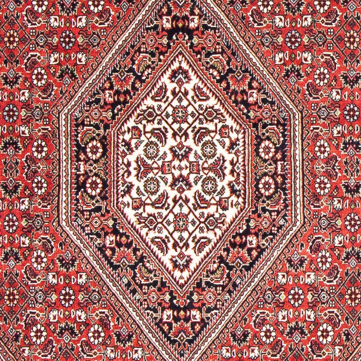 Persisk tæppe - Bijar - 176 x 110 cm - rød