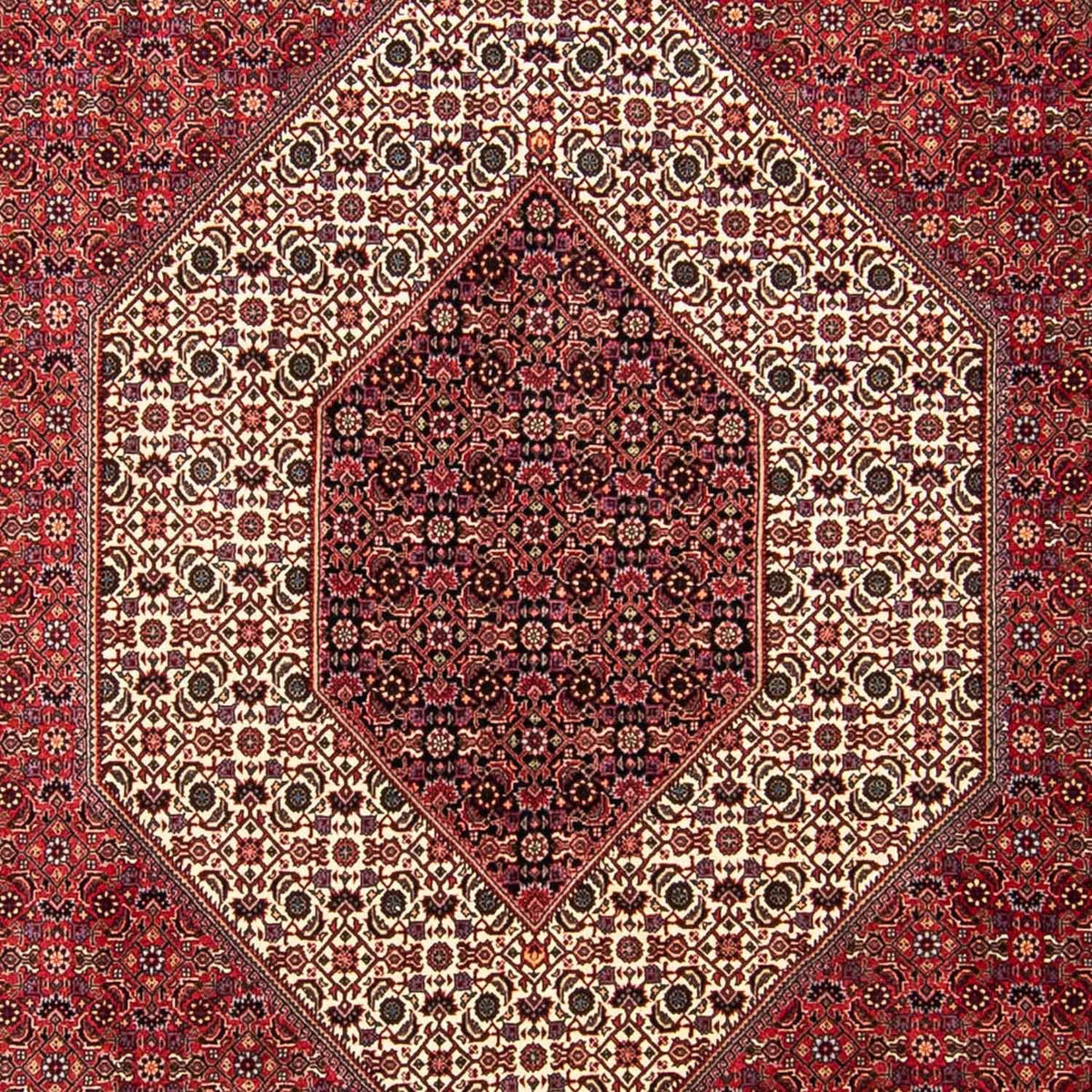Persisk tæppe - Bijar - 304 x 255 cm - mørkerød