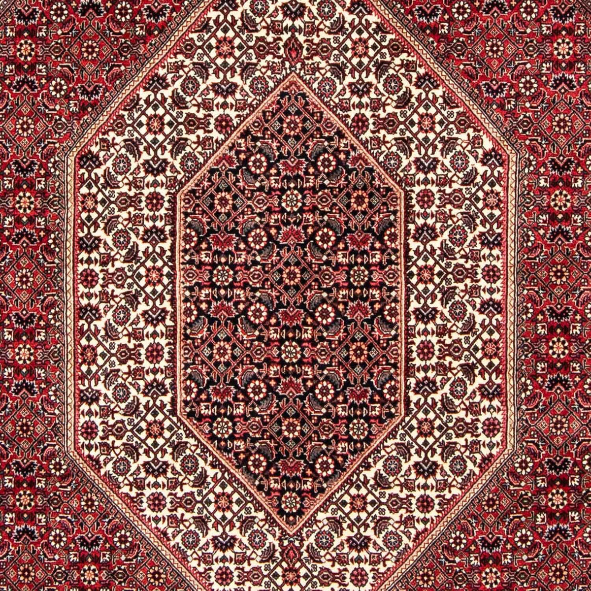 Persisk tæppe - Bijar - 250 x 171 cm - mørkerød