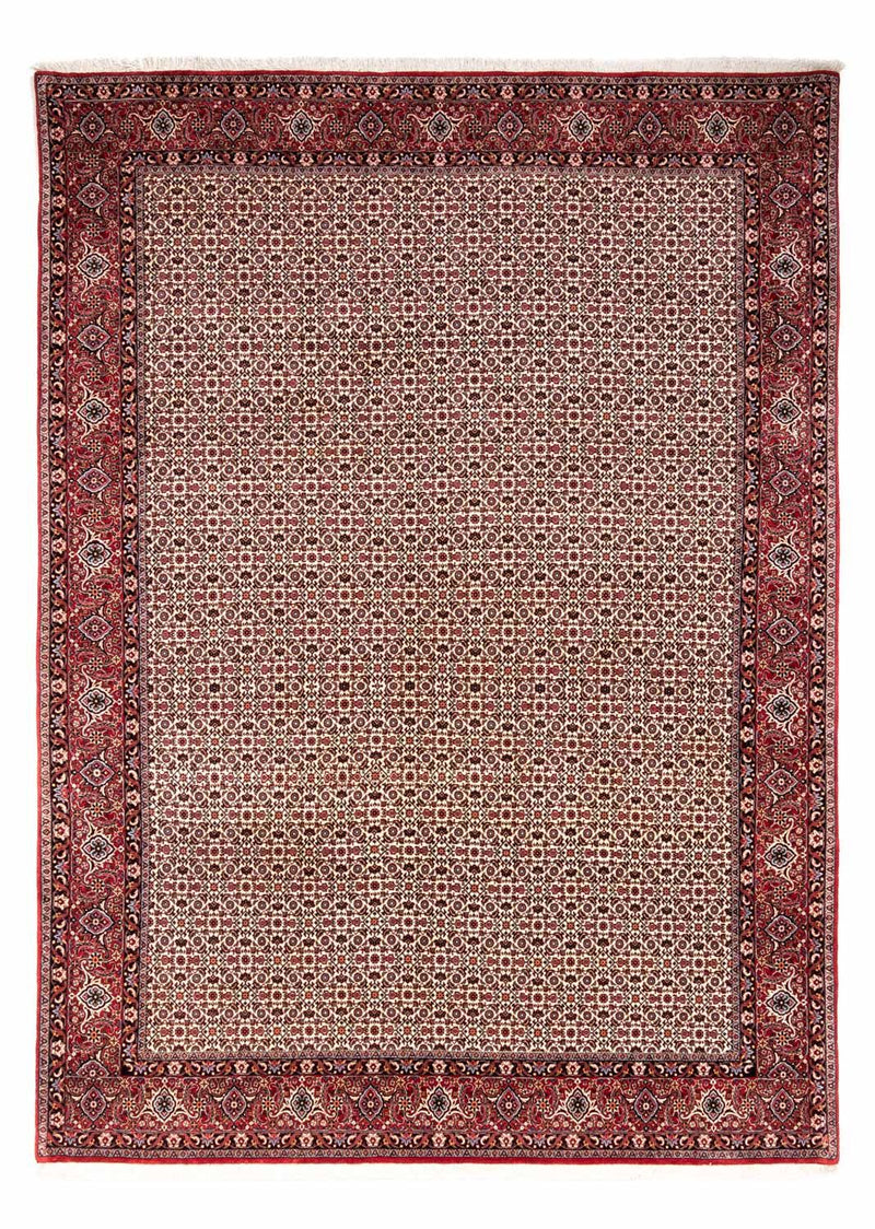 Persisk tæppe - Bijar - Royal - 343 x 253 cm - beige