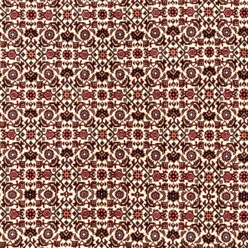 Persisk tæppe - Bijar - Royal - 343 x 253 cm - beige