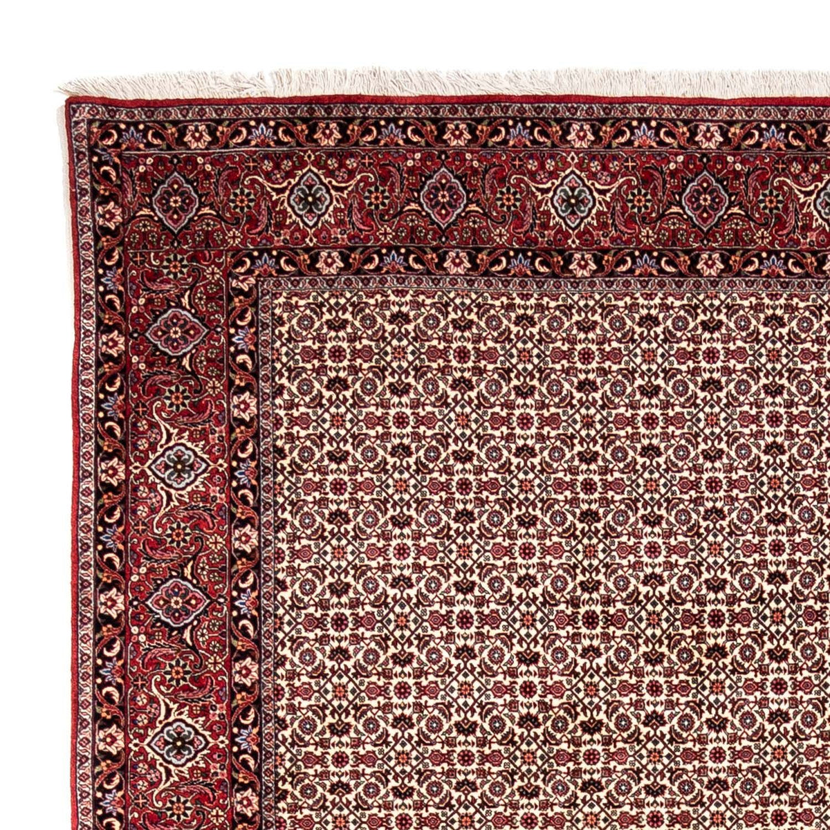 Persisk tæppe - Bijar - Royal - 343 x 253 cm - beige