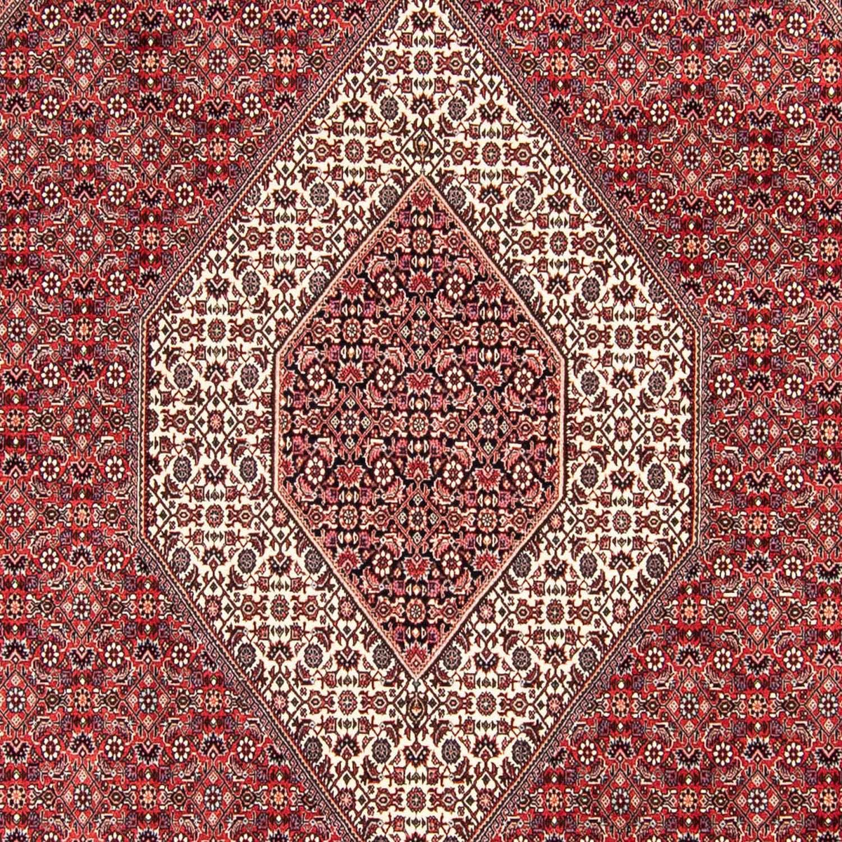 Persisk tæppe - Bijar - 305 x 253 cm - mørkerød
