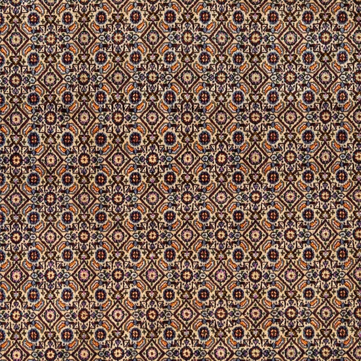 Persisk tæppe - Classic - 295 x 243 cm - lys brun