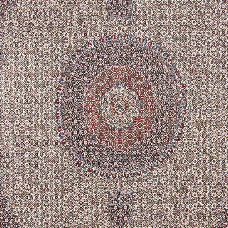 Persisk tæppe - Classic - 403 x 295 cm - beige