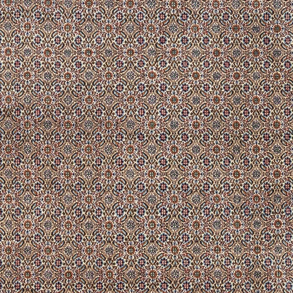 Persisk tæppe - Classic - 334 x 248 cm - beige