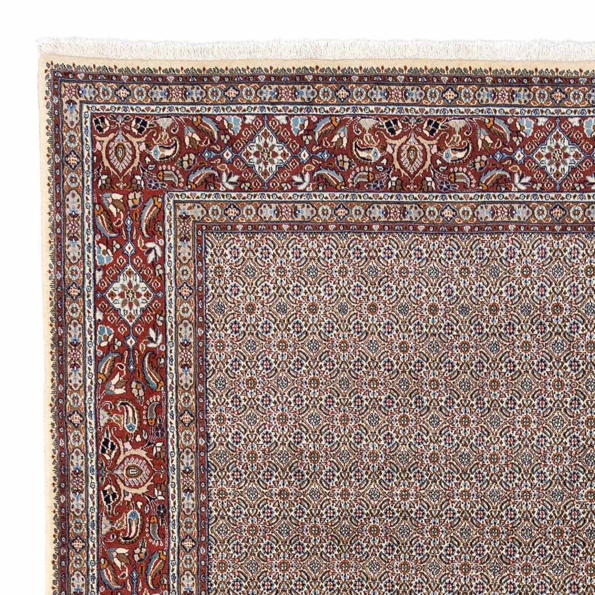Persisk tæppe - Classic - 334 x 248 cm - beige