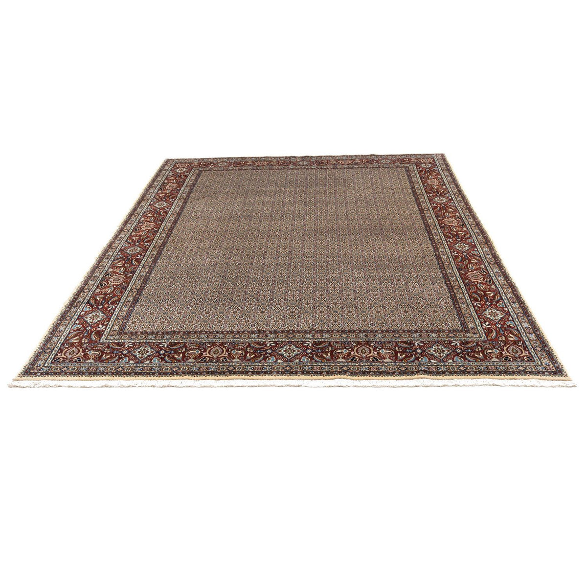 Persisk tæppe - Classic - 334 x 248 cm - beige