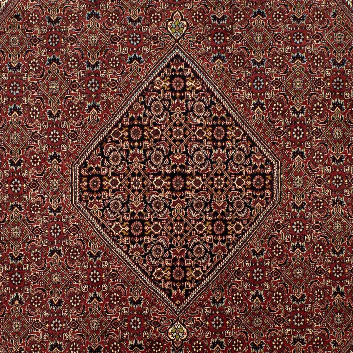 Persisk tæppe - Bijar - 295 x 200 cm - brun