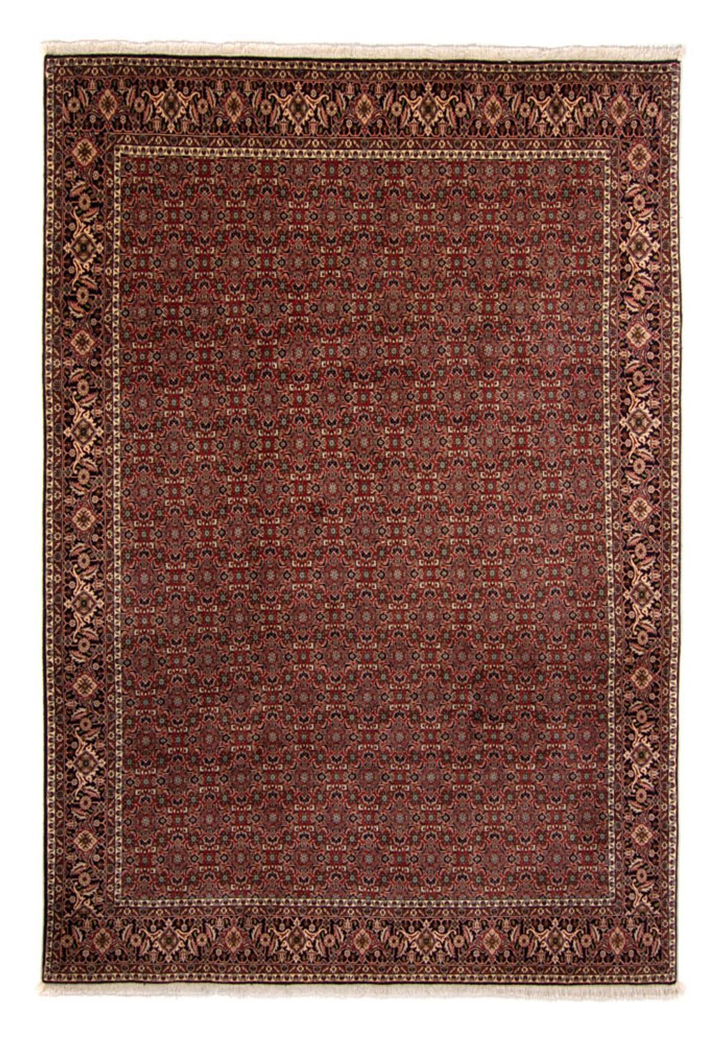 Persisk tæppe - Bijar - 342 x 244 cm - brun