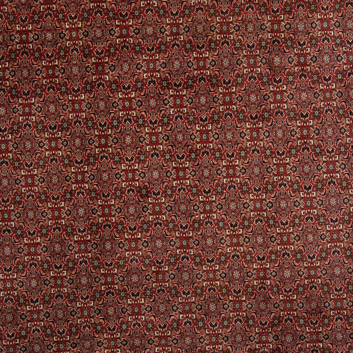 Persisk tæppe - Bijar - 342 x 244 cm - brun