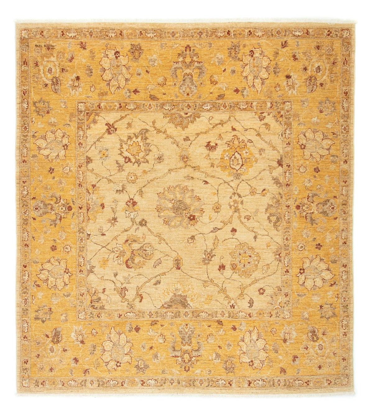 Ziegler Carpet firkantet - 209 x 192 cm - beige