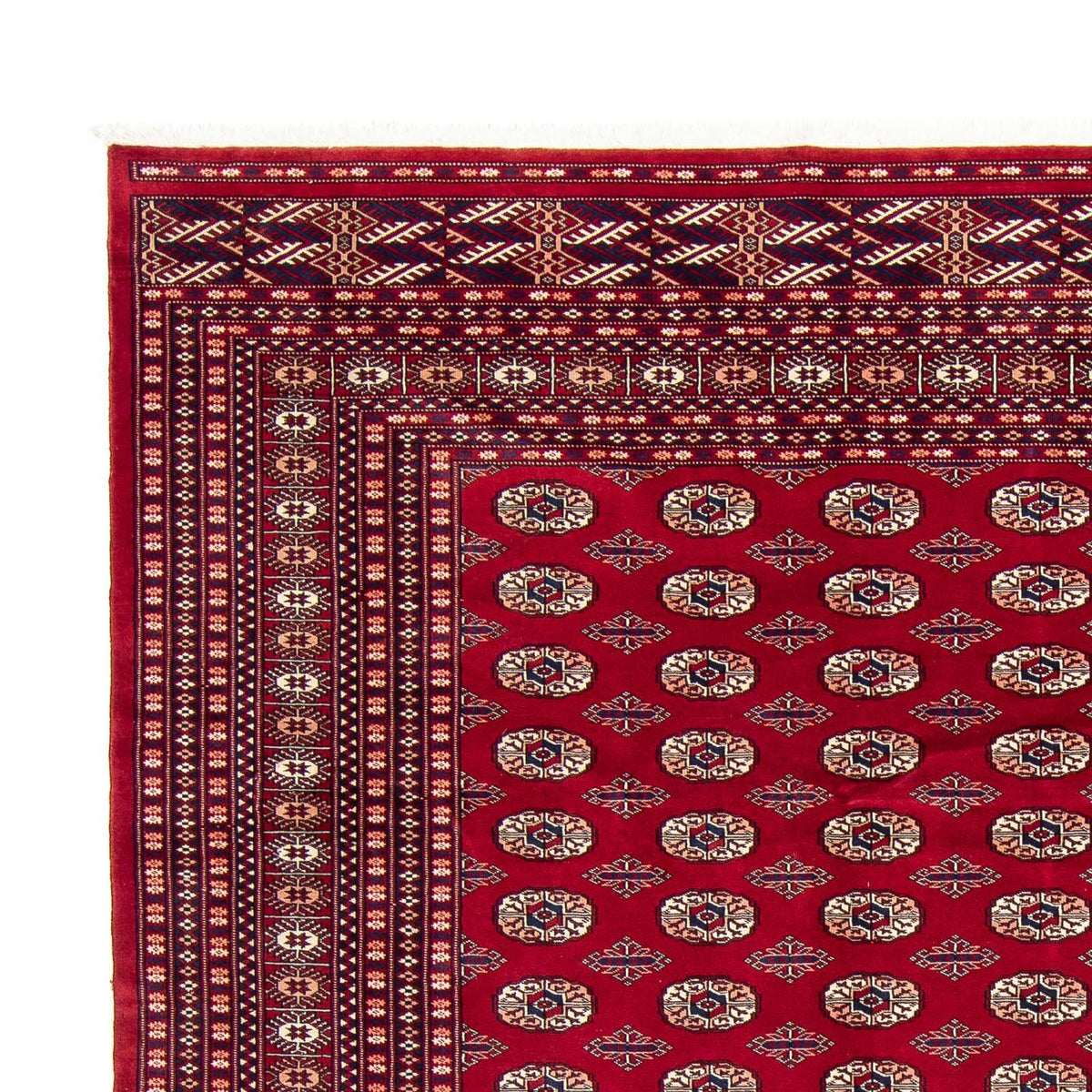 Afghansk tæppe - Bukhara - 303 x 253 cm - rød