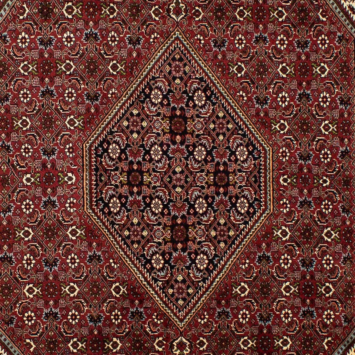 Persisk tæppe - Bijar - 298 x 199 cm - brun