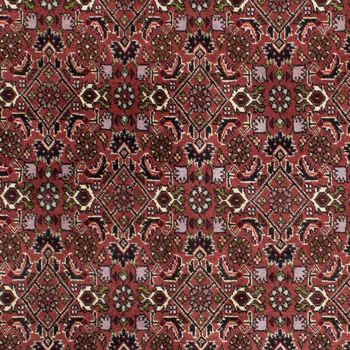 Persisk tæppe - Bijar - 208 x 139 cm - rød