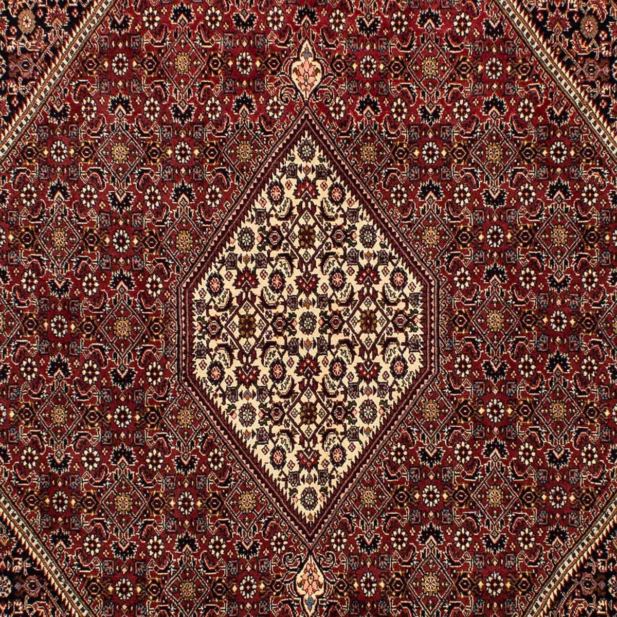 Persisk tæppe - Bijar - 296 x 201 cm - brun