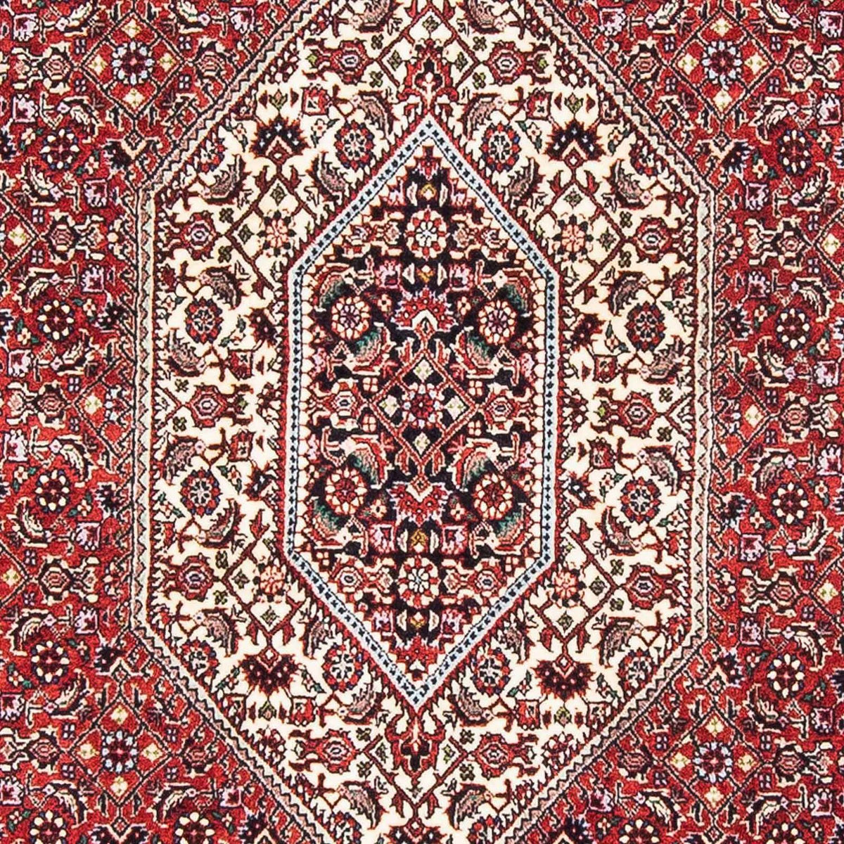 Persisk tæppe - Bijar - 178 x 108 cm - rød