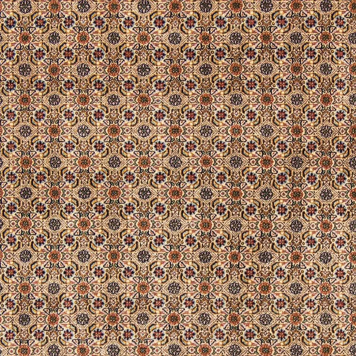 Persisk tæppe - Classic - 298 x 200 cm - beige
