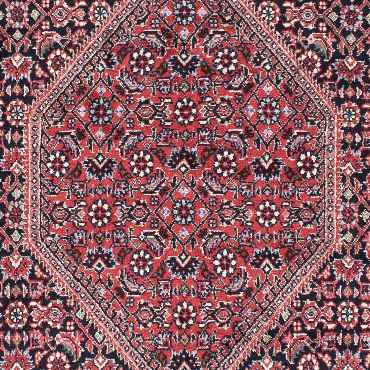 Løber Persisk tæppe - Bijar - 208 x 73 cm - mørkeblå