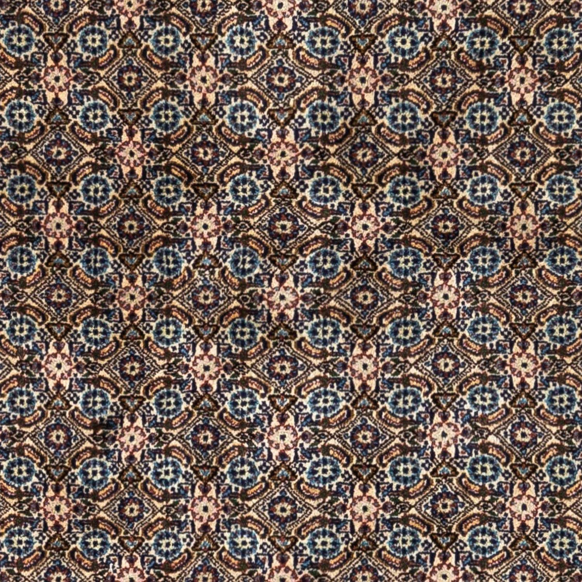 Persisk tæppe - Classic - 237 x 172 cm - beige
