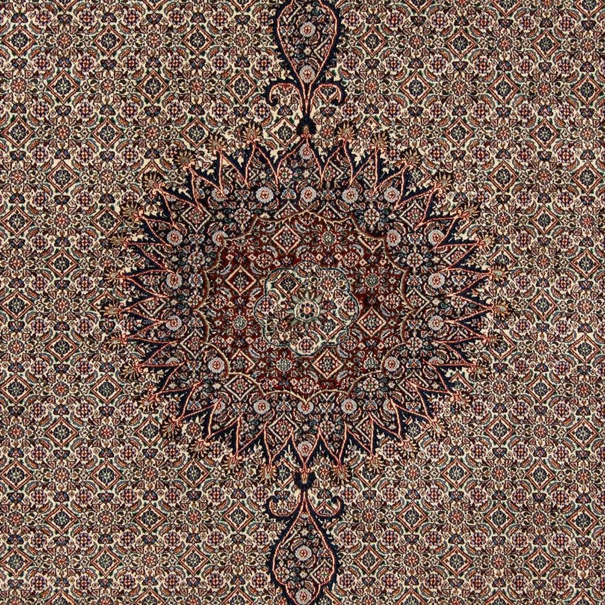 Persisk tæppe - Classic - 305 x 202 cm - beige