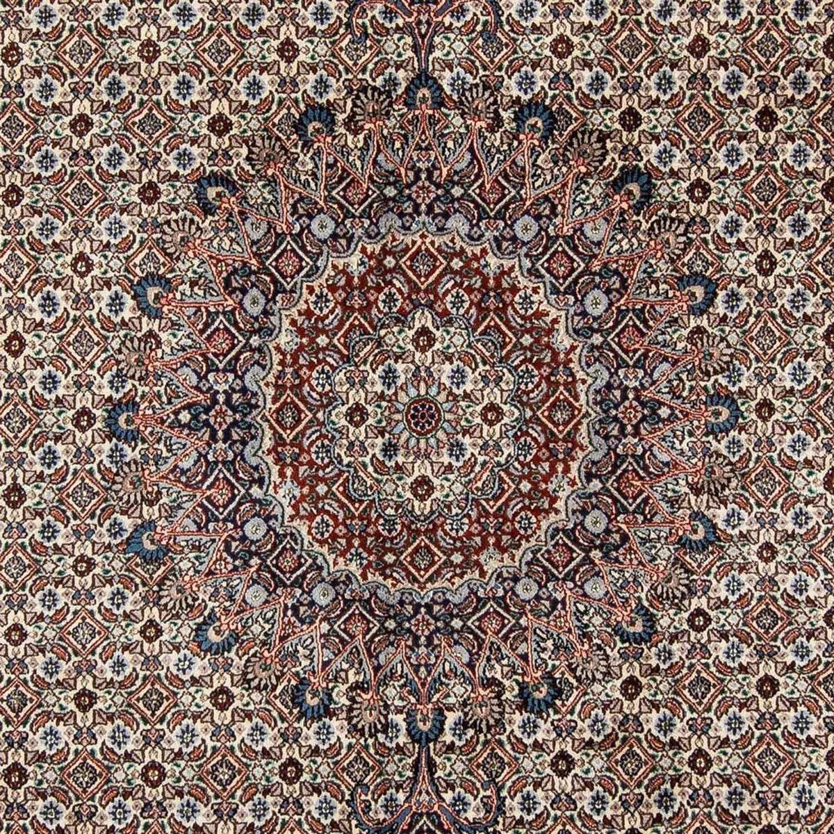 Persisk tæppe - Classic - 303 x 204 cm - beige