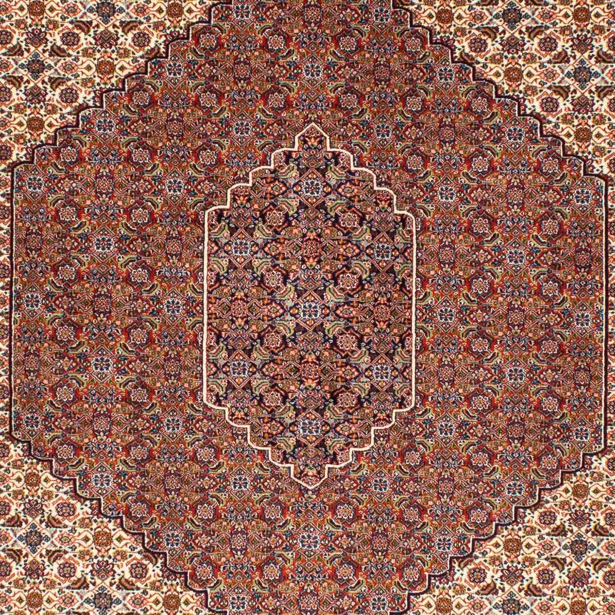 Persisk tæppe - Nomadisk - 250 x 161 cm - brun