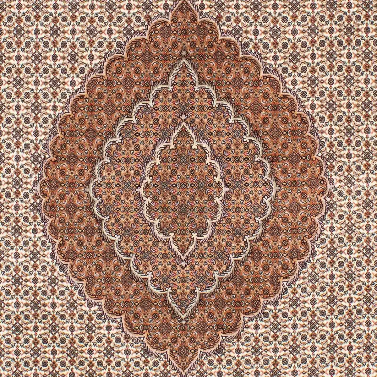 Persisk tæppe - Tabriz - 250 x 168 cm - lys brun