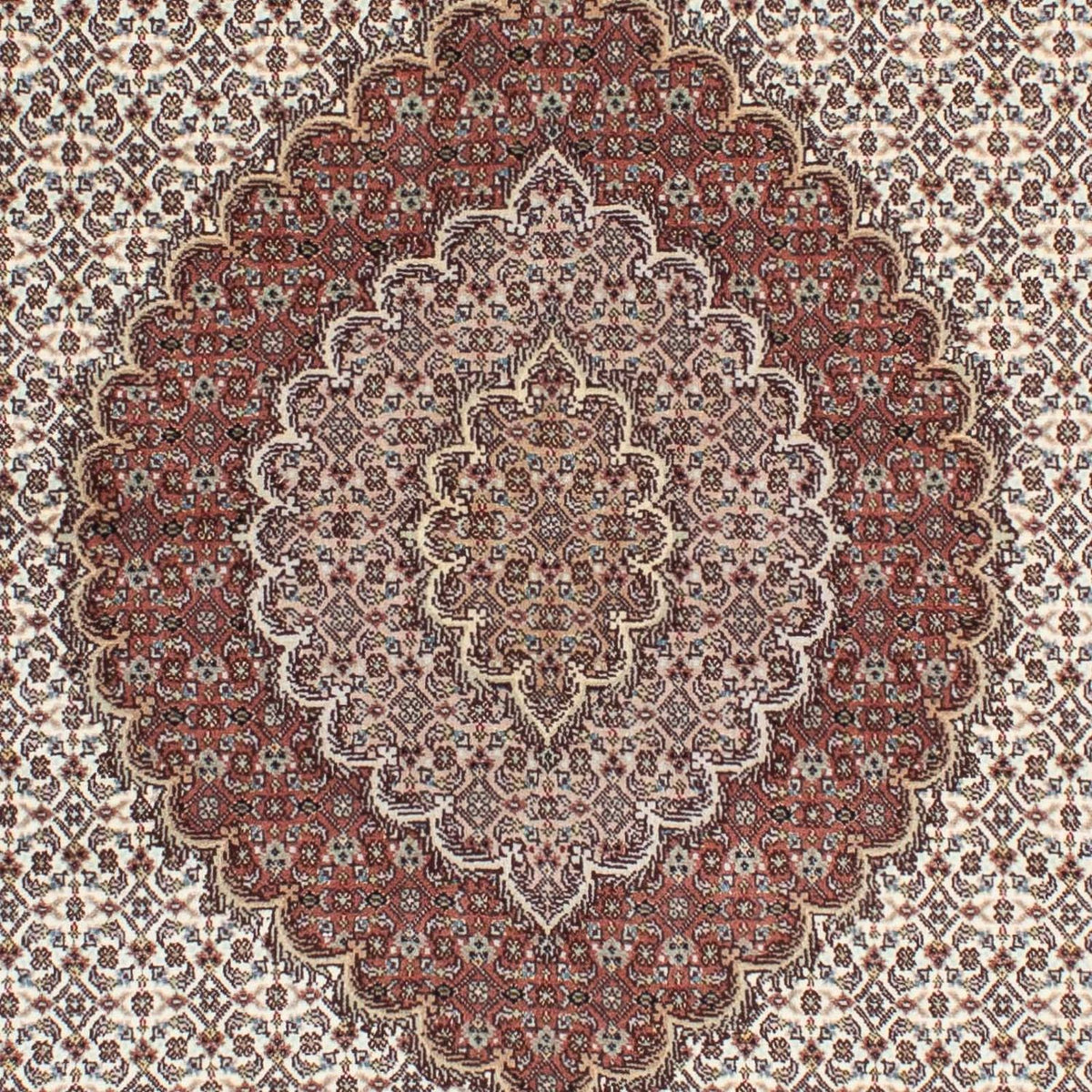 Persisk tæppe - Tabriz - Royal - 205 x 153 cm - lys brun