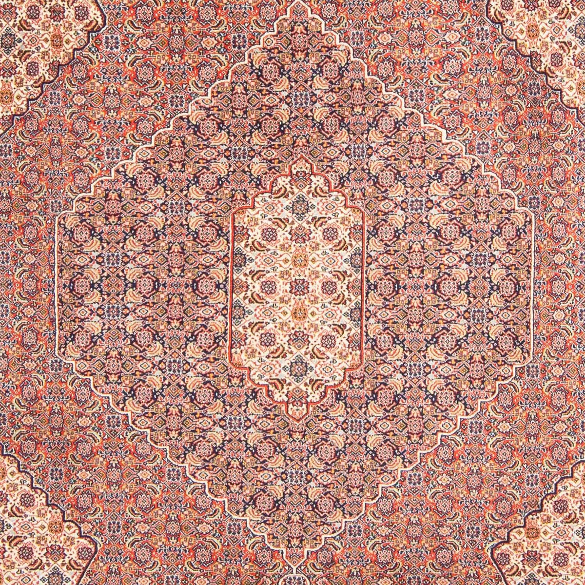Persisk tæppe - Nomadisk - 293 x 204 cm - lys brun