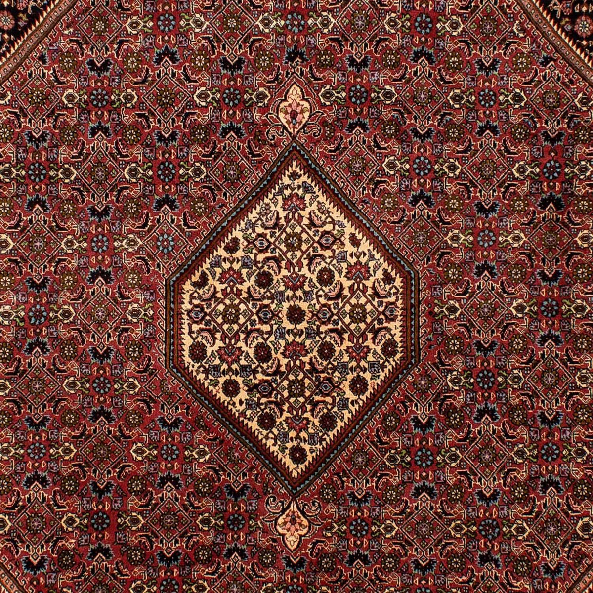 Persisk tæppe - Bijar - 288 x 202 cm - brun