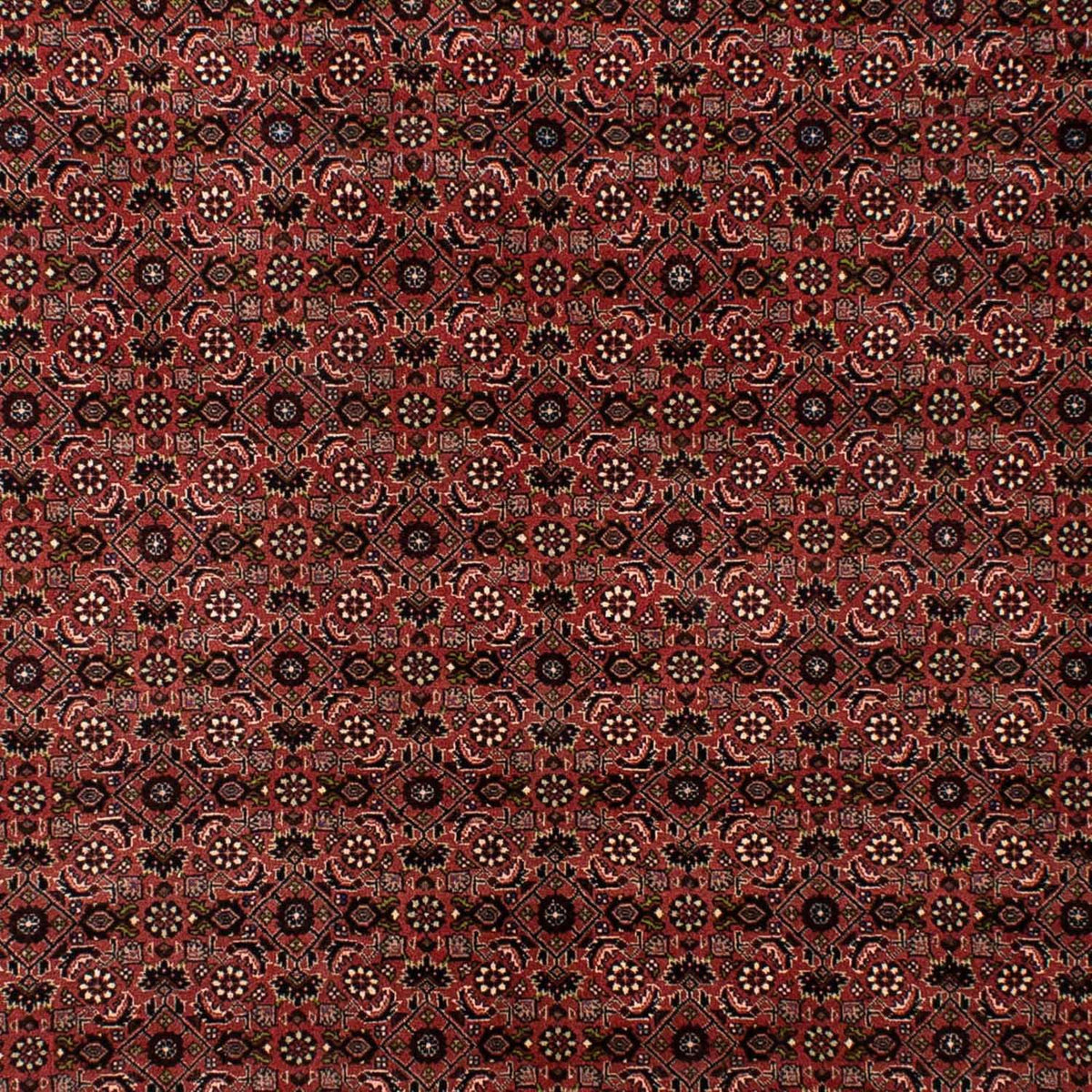 Persisk tæppe - Bijar - 295 x 196 cm - mørkerød